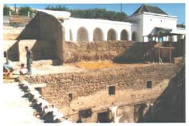Schage des peaux teintes